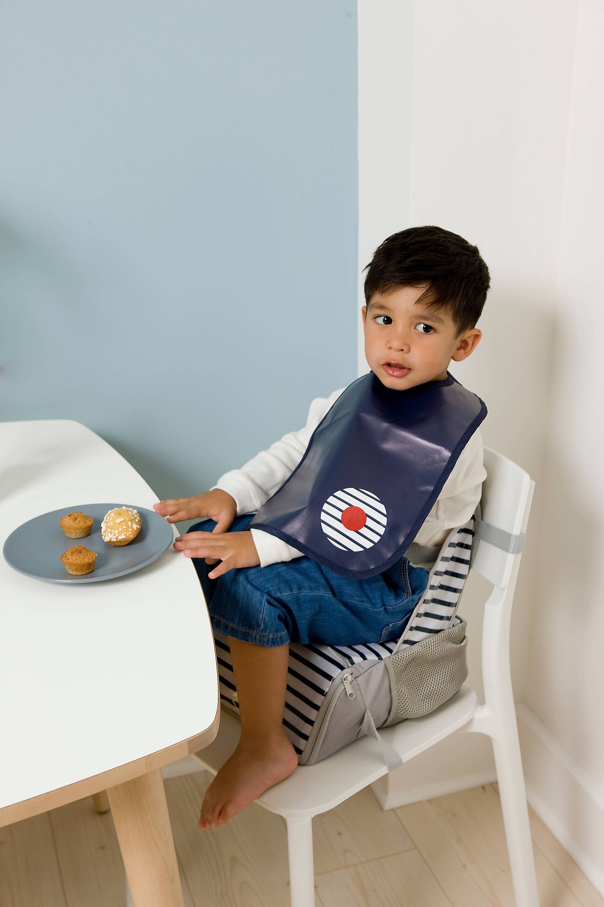 BTL Set of 2 Bibs - Blue Stripes
