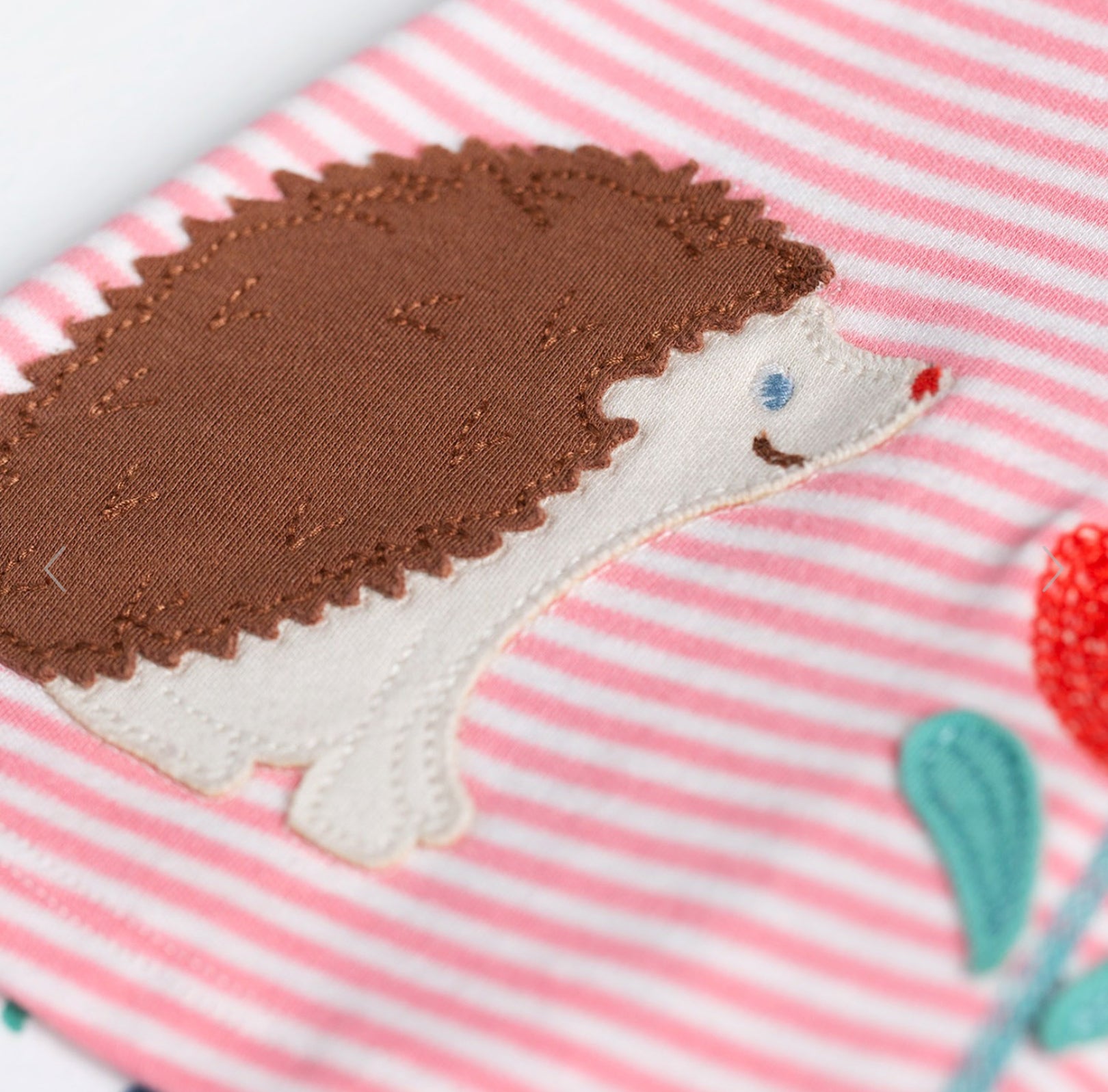 Frugi Oakleigh Striped Outfit- Hedgehog