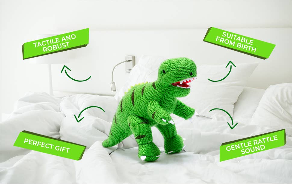 Dinosaur Baby Rattle Knitted T Rex Green