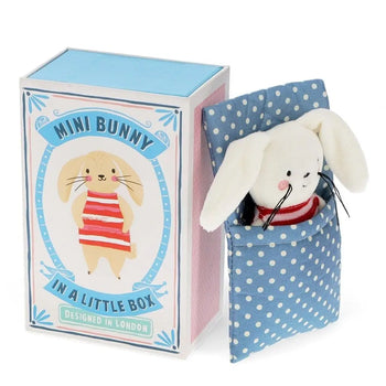 Mini Bunny in a Little House