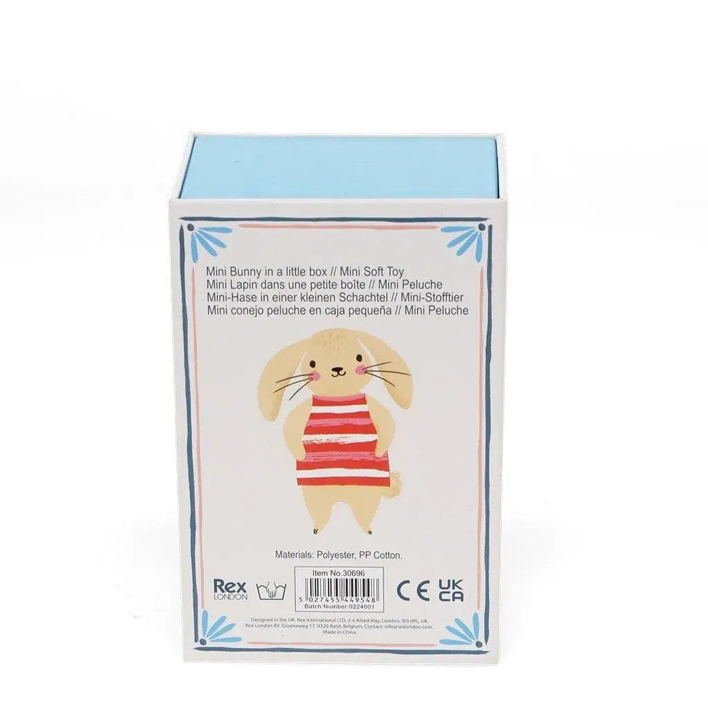 Mini Bunny in a Little House