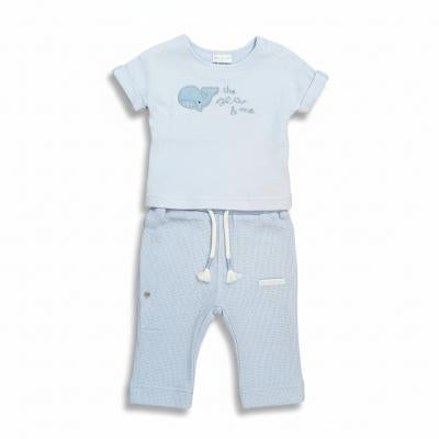 Whale Waffle T-shirt & Trouser/shorts Set Rock-A-Bye Baby Boutique