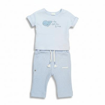 Whale Waffle T-shirt & Trouser/shorts Set Rock-A-Bye Baby Boutique