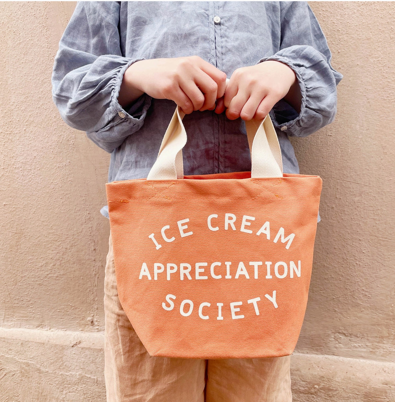 Ice Cream Appreciation Society - Mini Canvas Tote Bag