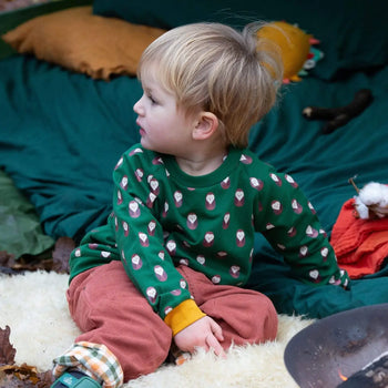 Brown Owl Sweatshirt  Little Green Radicals