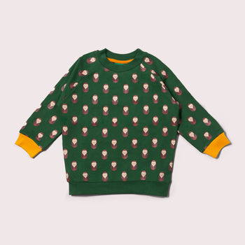 Brown Owl Sweatshirt  Little Green Radicals