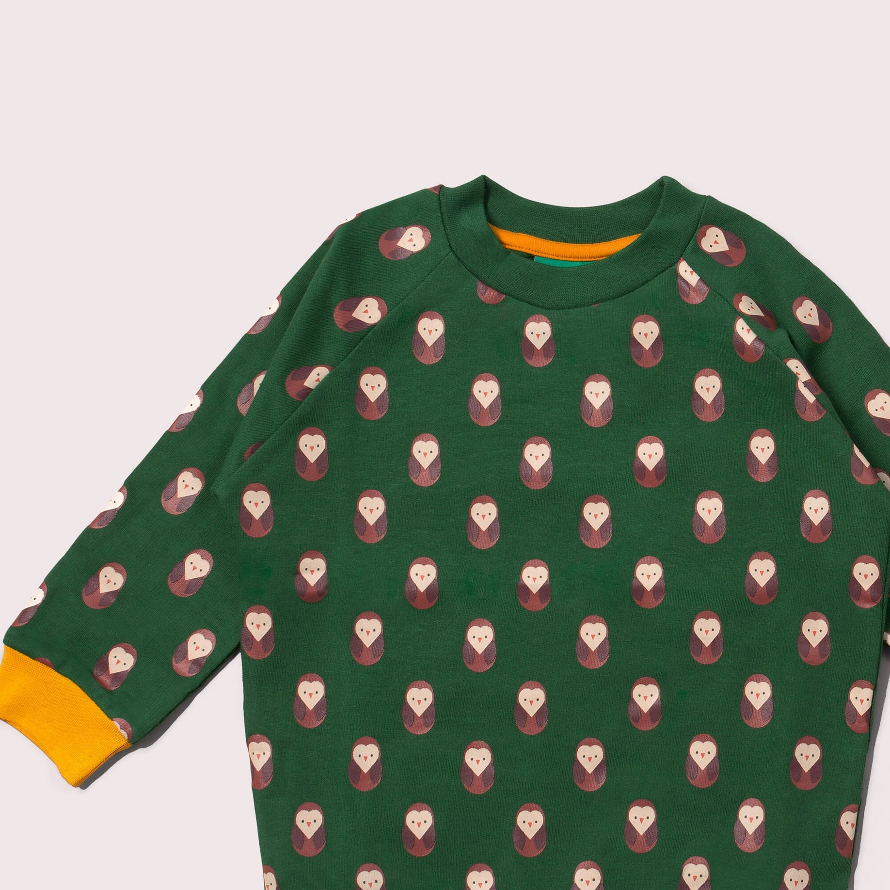Brown Owl Sweatshirt  Little Green Radicals