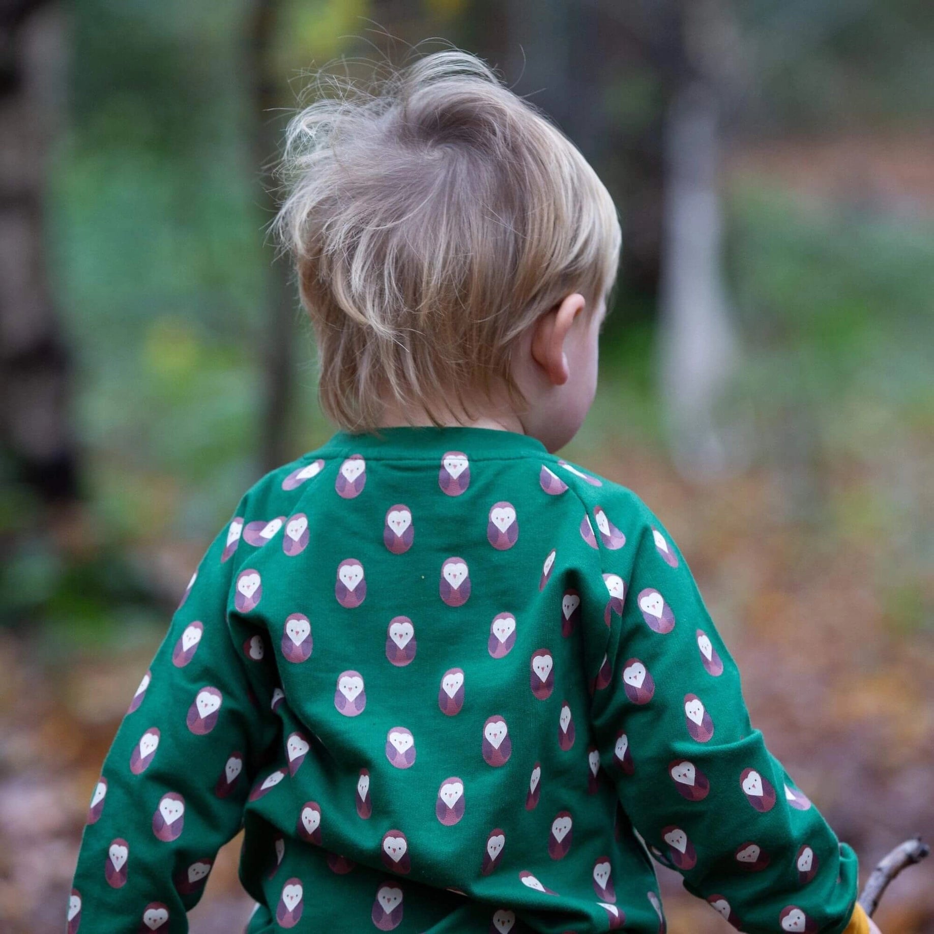 Brown Owl Sweatshirt  Little Green Radicals