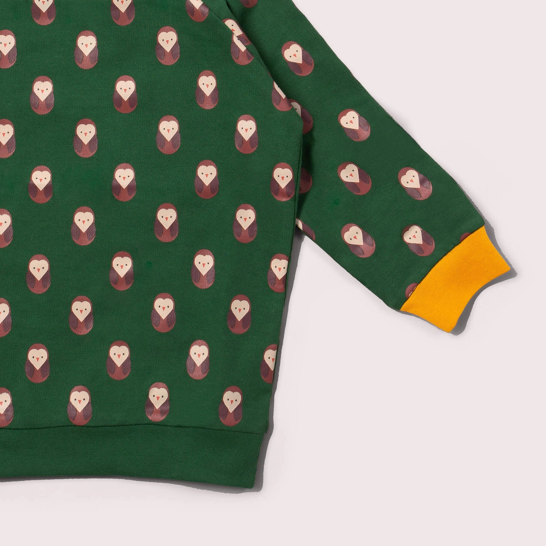 Brown Owl Sweatshirt  Little Green Radicals