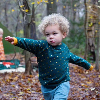 Golden Stars Raglan Sweatshirt  Little Green Radicals