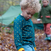 Golden Stars Raglan Sweatshirt  Little Green Radicals