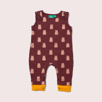 Brown Bear Dungarees Little Green Radicals