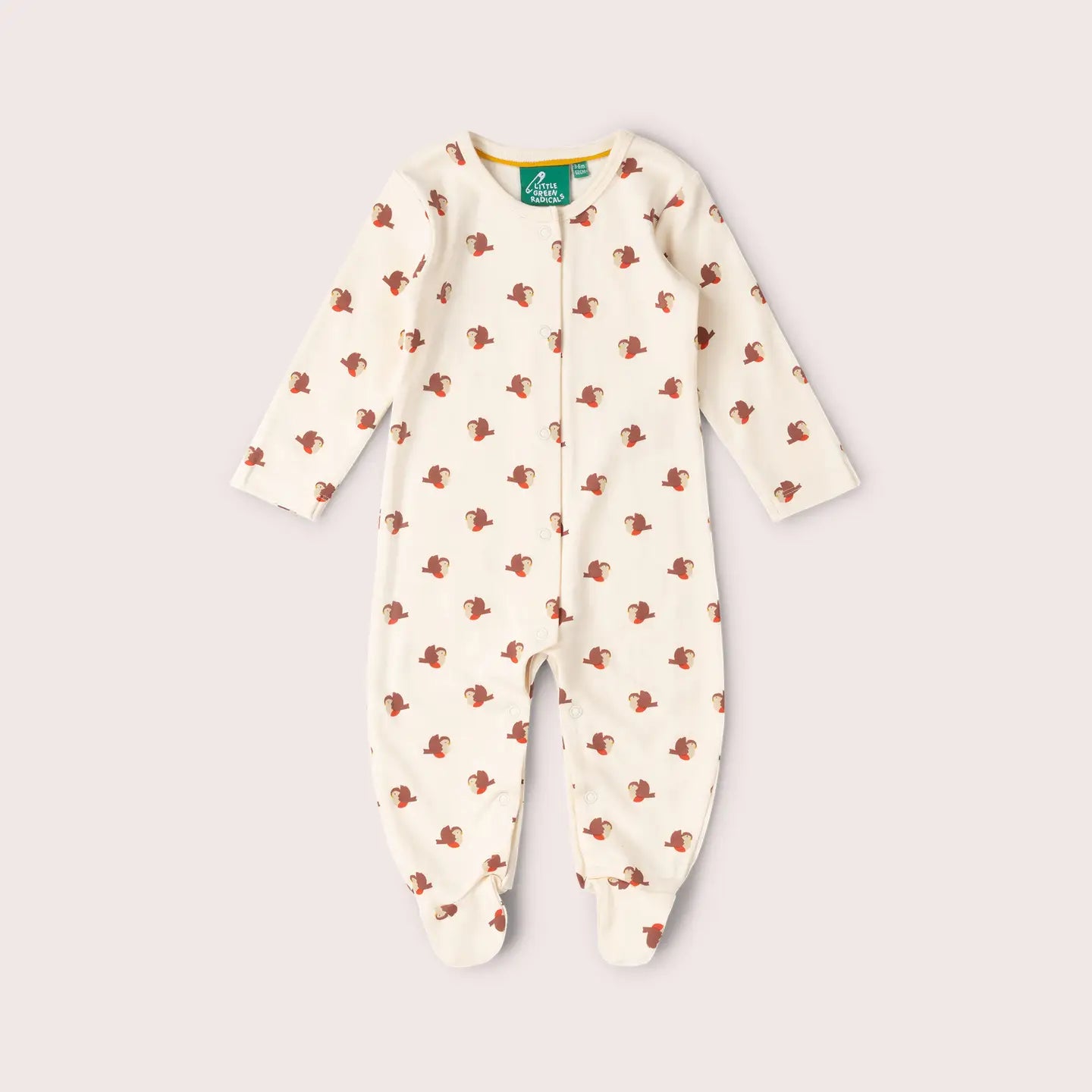 Little Robin Sleepsuit Little Green Radicals