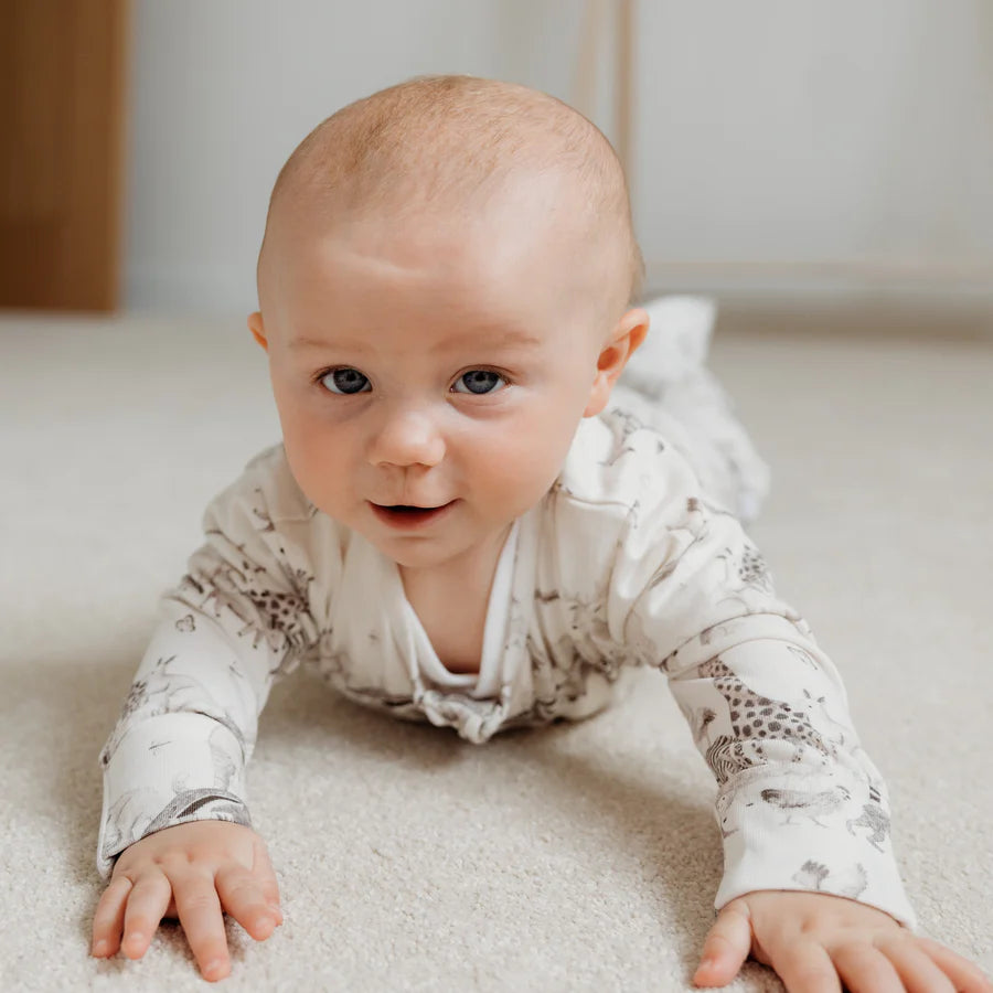 Animals Zip up Sleepsuit Fox & Lottie