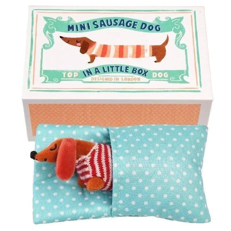 Mini Sausage Dog in a Box