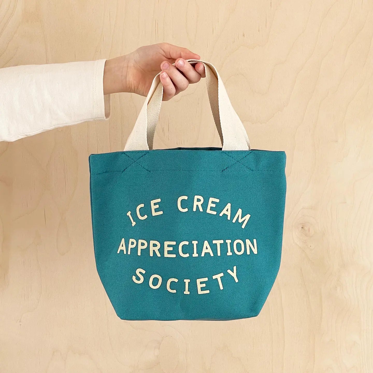 Ice Cream Appreciation Society - Mini Canvas Tote Bag