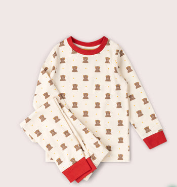 Brown Bear Pyjamas Little Green Radicals