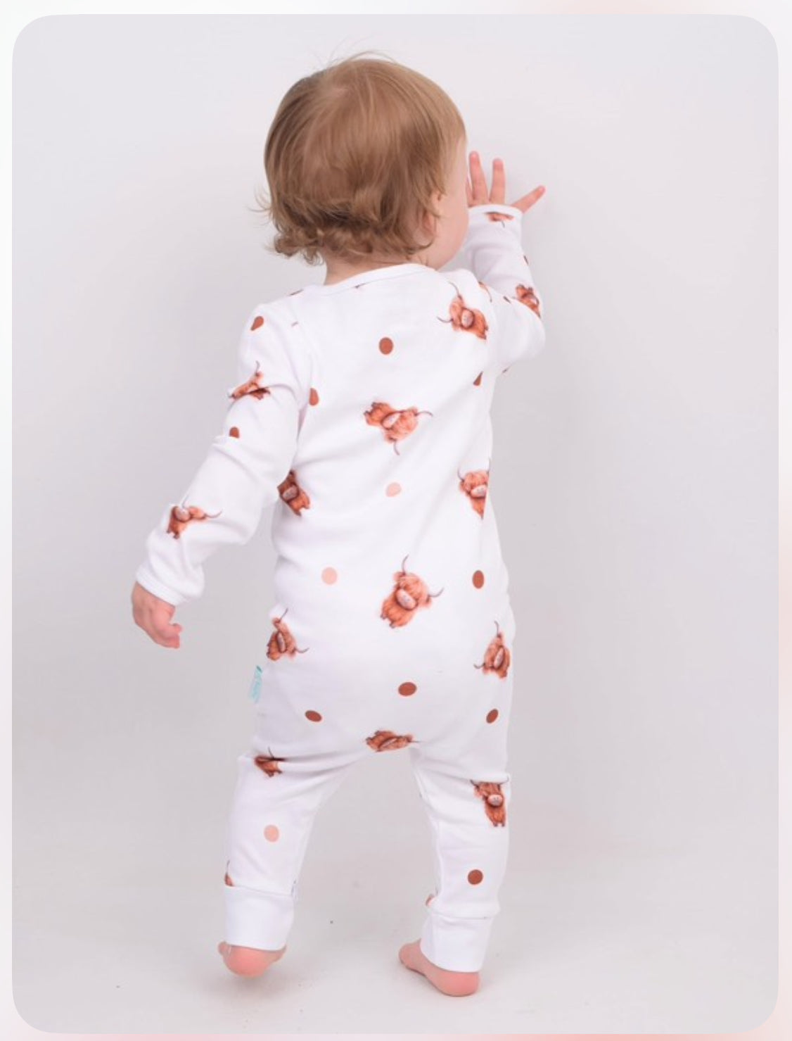 BabyMac Highland Cow Print Organic Cotton Sleepsuit