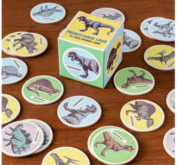 Prehistoric Land 24 piece Memory Game