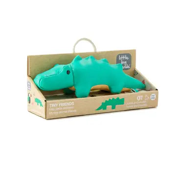 Crocodile  Little Big Friends