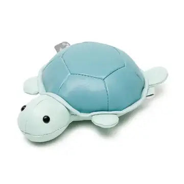 Turtle Tiny Little Big Friends