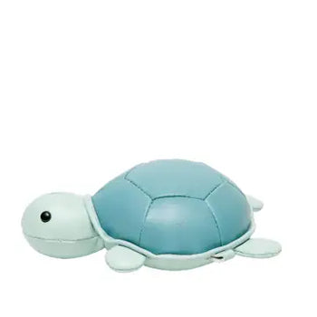 Turtle Tiny Little Big Friends