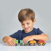 The Dinosaur Train Set Wooden Toy