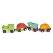 The Dinosaur Train Set Wooden Toy