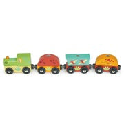 The Dinosaur Train Set Wooden Toy