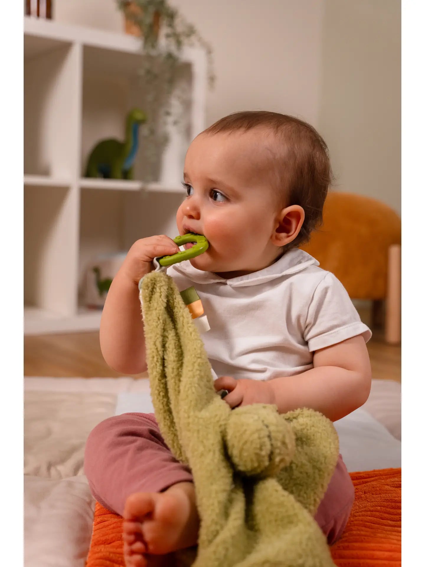 Rex Comforter Little Big Friends