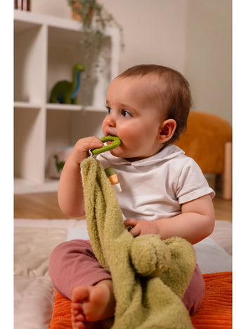 Rex Comforter Little Big Friends