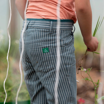 Blue Stripe Rib Waistband Trousers Little Green Radicals