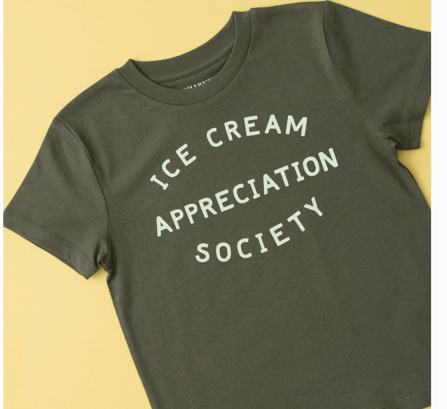 Ice Cream Appreciation Society Khaki T-Shirt
