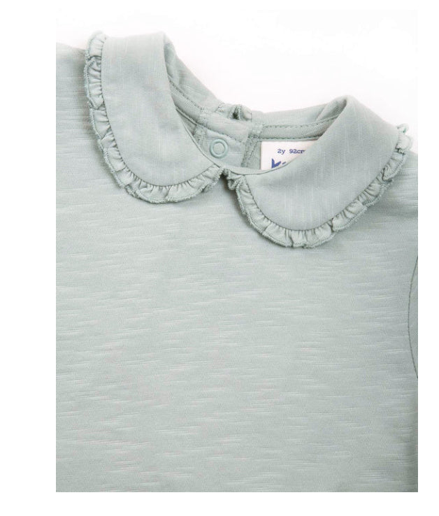 Kite Peter Pan  Top