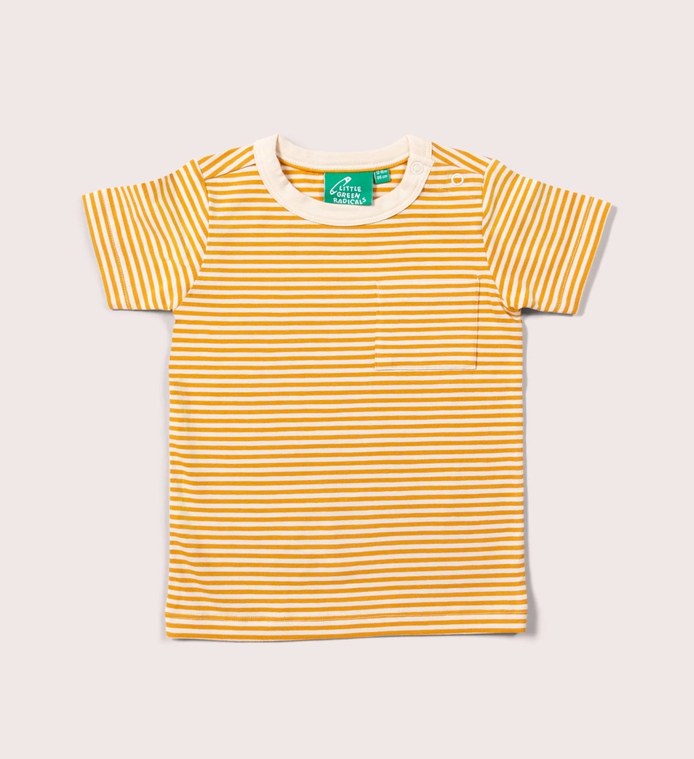 SALE Soft Gold Striped Short Sleeve top Little Green Radicals