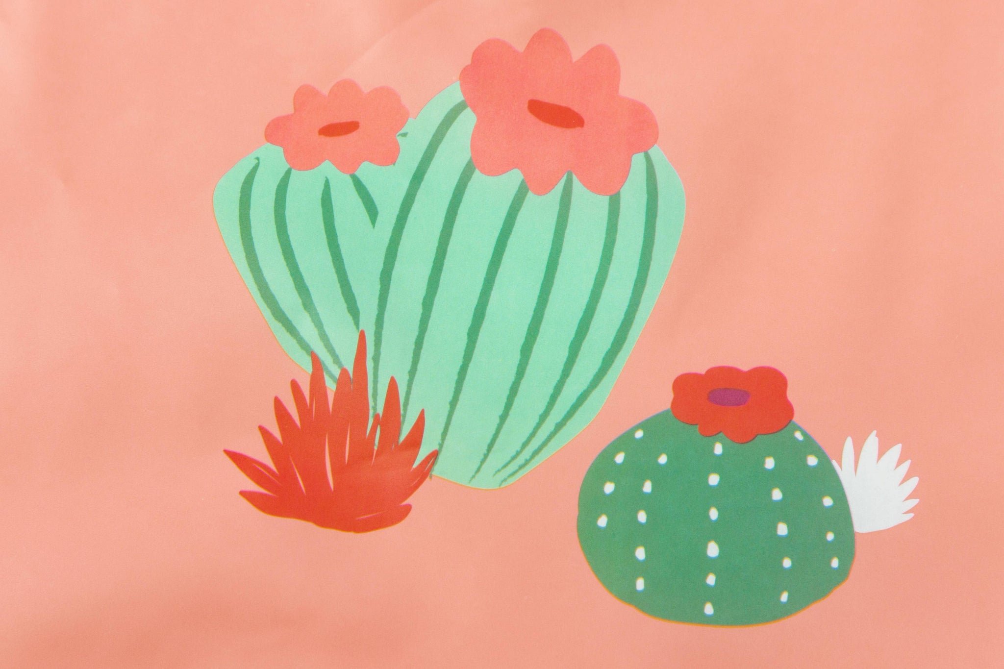 BTL Set of 2 Bibs - Cactus Garden