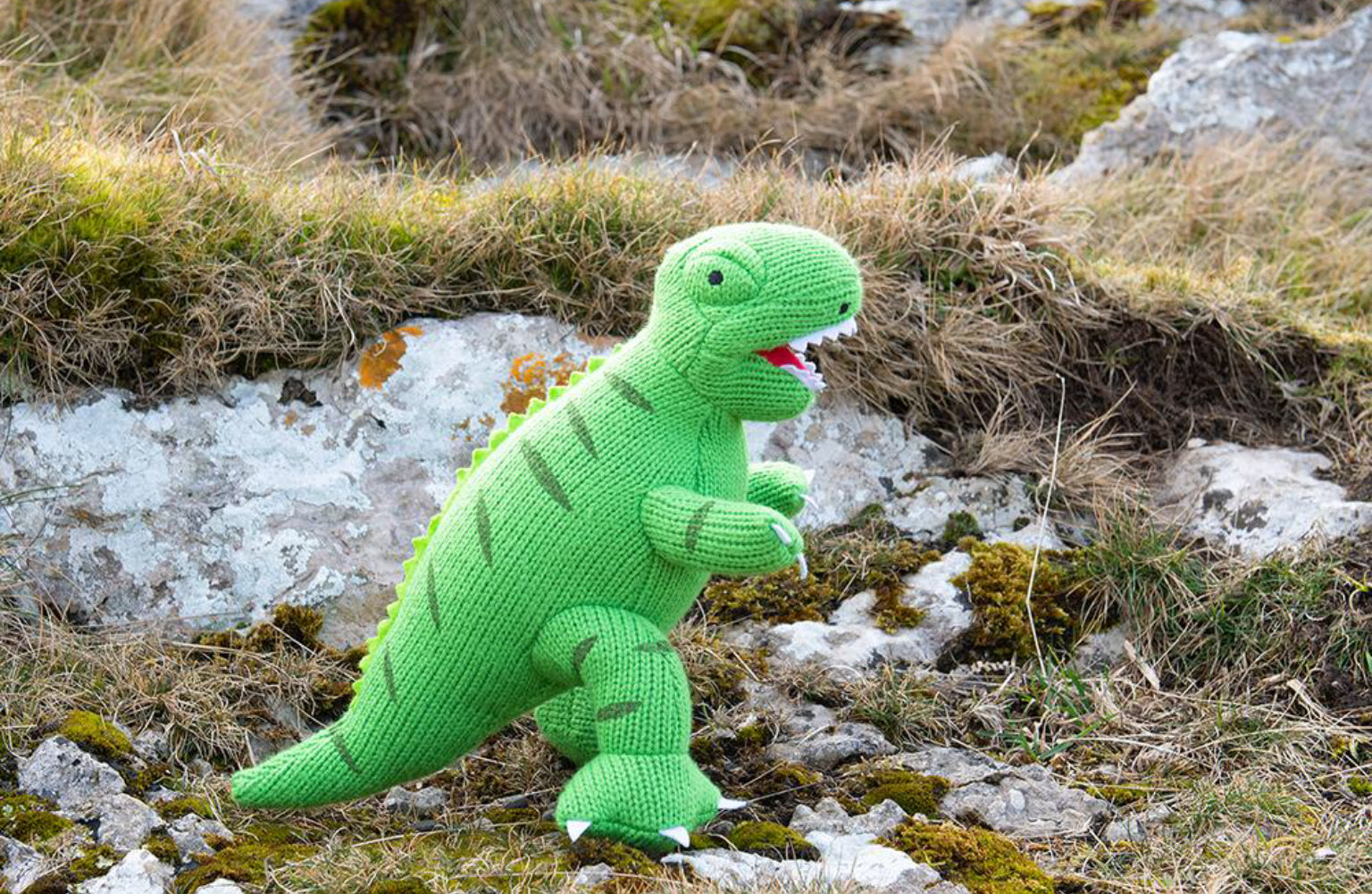 Green Knitted T-Rex  Dinosaur Soft  Toy