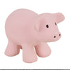 Tikiri My First Farm Animals Pig  Rubber Baby Teether Rattle
