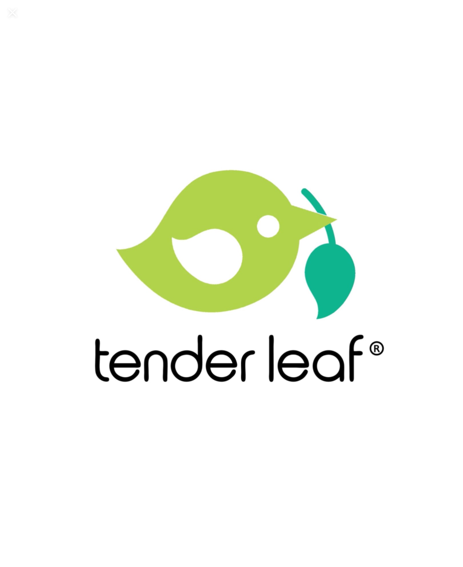 Tender Leaf Toys Woodland Animals Hedgehog Wooden Toy